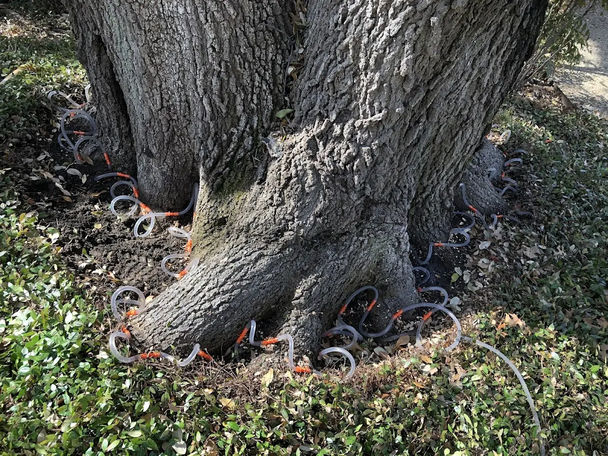Detailed Shrub and Hedge Trimming job site in Lahoma