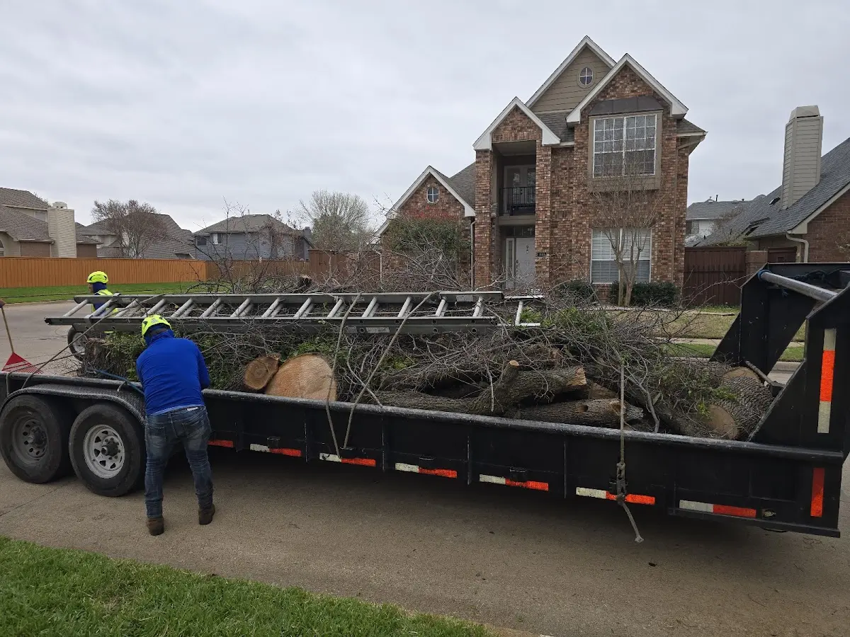 Expert Tree Fertilization with proper safety equipment in Lahoma